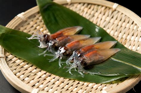 ホタルイカ｜富山の食材 検索｜越中とやま食の王国 富山県の食文化を伝える公式サイト