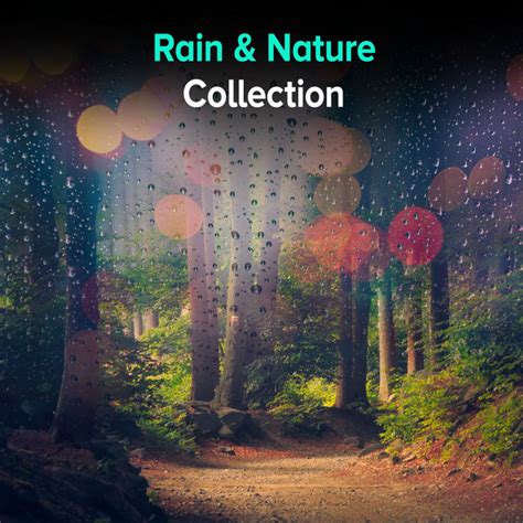 Rain And Nature Collection Album By Rain Sounds Nature Collection Spotify