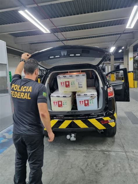 PF Prende Mulher Tentando Embarcar Arraias Vivas No Aeroporto Eduardo