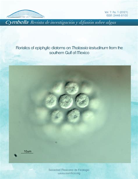 Pdf Floristics Of Epiphytic Diatoms On Thalassia Testudinum From The