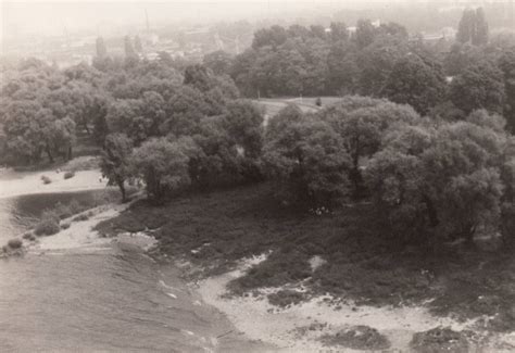 Rheinpark Aus Der Gondel Wdr Digit