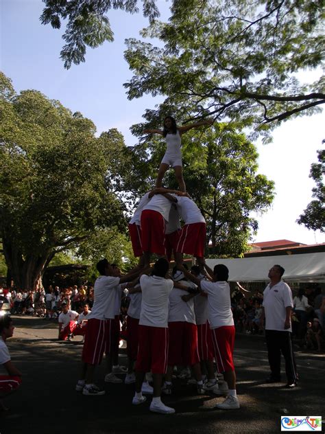 Material Para El Desfile Del 20 De Noviembre 10