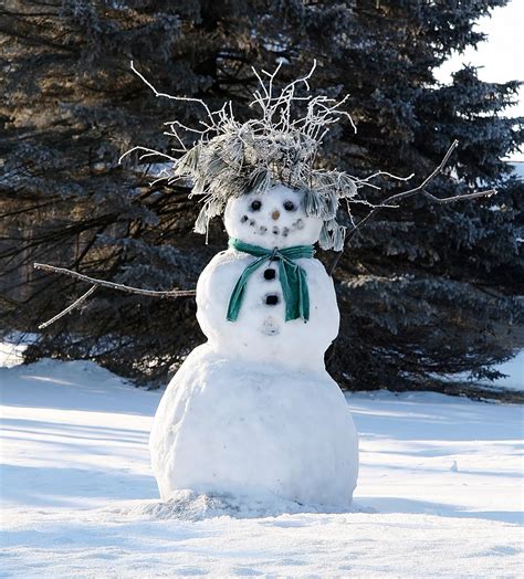 Bad Hair Day Snowman Snow Fun Winter Fun Snowman