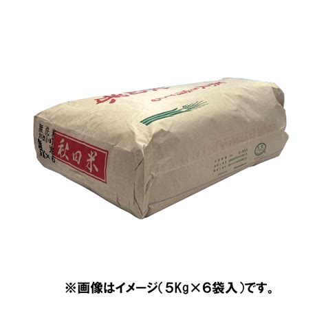 無洗米 秋田県産あきたこまち 5kg×6袋 合計30kg 送料無料 ホームページ制作 Seo対策なら大阪のkenko