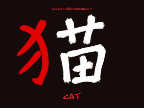 basic-chinese-radicals-cat-in-chinese-characters-chinese-writing ...