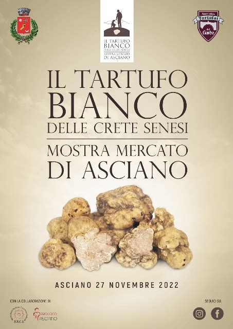 Asciano Mostra Del Tartufo Bianco Delle Crete Senesi Tempo Libero