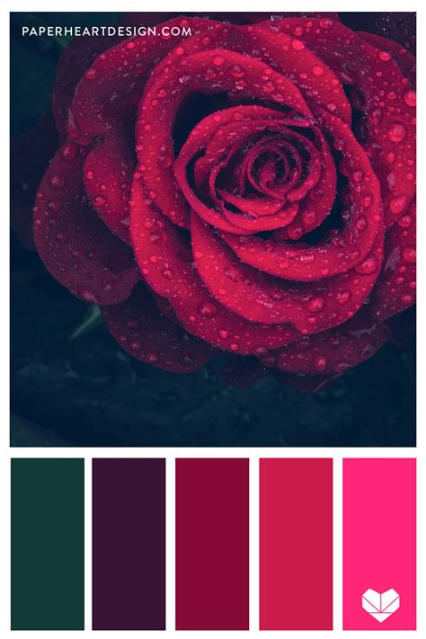 Color Palette: Radiant Reds — Paper Heart Design