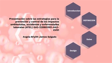 Presentación sobre las estrategias para la prevención y control de los