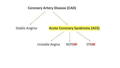 Acute Coronary Syndrome Acs Flashcards Quizlet