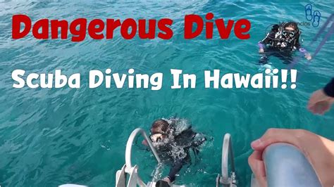 Scuba Diving With Dive Oahu Sharks And Sea Turtles Youtube