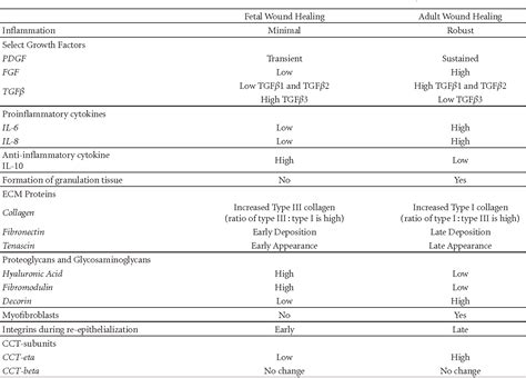 Table 1 From Cellular And Molecular Characteristics Of Scarless Versus