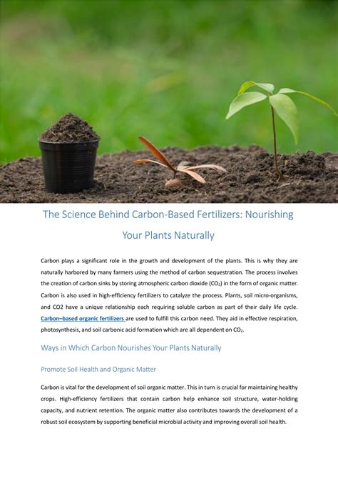 Ppt The Science Behind Carbon Based Fertilizers Nourishing Your Plants Powerpoint Presentation