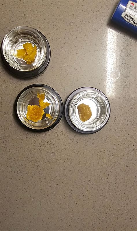 $55 after tax can't complain : r/trees