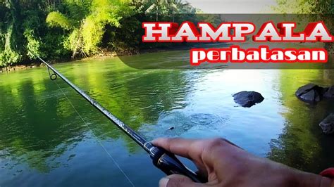 Umpan Jitu Mancing Ikan Hampala Air Jernih Pencarian Hampala Monster