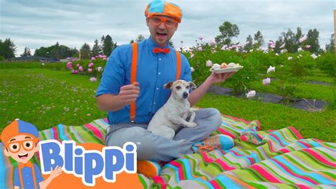 Blippi Visits a Farm and Finds Animals - Youtube Kids