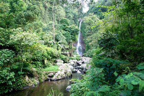 AMED TOUR BALI: Gitgit Waterfall