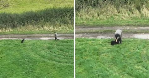 El conmovedor reencuentro entre una perrita ciega y su dueño