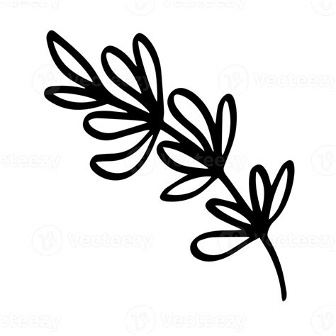 Lavender Hand Drawn Illustration Png