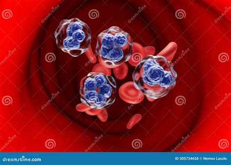 T Cell Lymphoma Cells In The Blood Flow Section View 3d Illustration