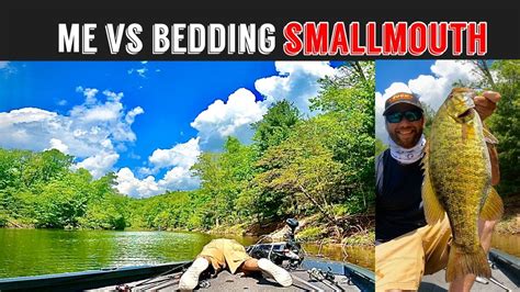 TOP Baits For Smallmouth Bass During The SPAWN YouTube