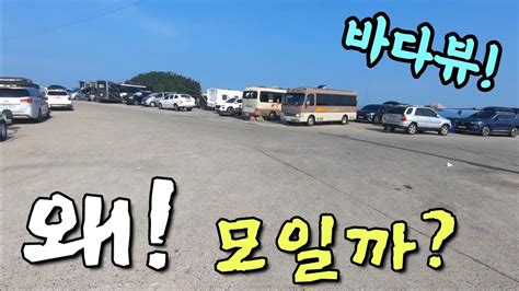 무료 차박 캠핑의 성지 완벽한 바다뷰 평생 공짜 수도권 인근 최고의 차박지 긴급 공개 Korea Camping