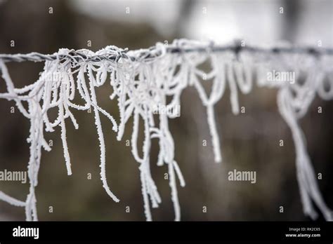 Hanging Strands Hi Res Stock Photography And Images Alamy