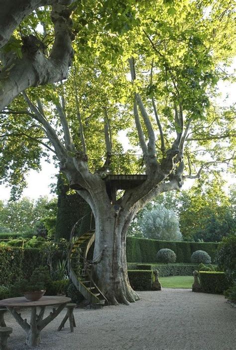 Pin By Gauloise R Fractaire On J A R D I N Provence Garden Garden