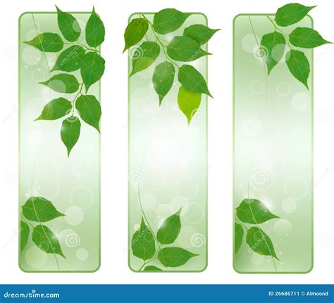 Three Nature Banners With Green Fresh Leaves Stock Image Image 26686711