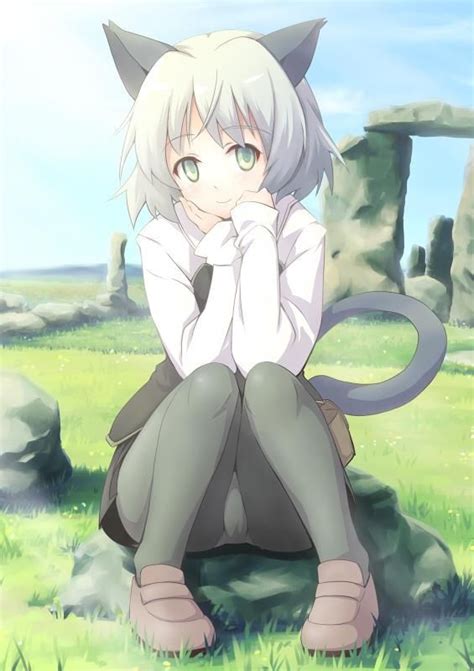 Pin By Shun Chen On Strike Witches Anime Anime Artwork Cat Girl