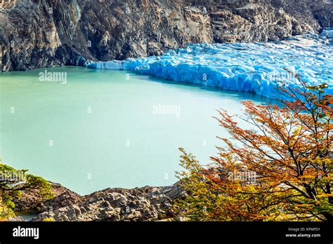 Patagonia Chile Glaciar Grey Es Un Glaciar En El Campo De Hielo Patagónico Sur En La