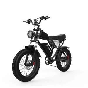 Ridstar Official Store Ridstar Q Electric Bike W V Ah