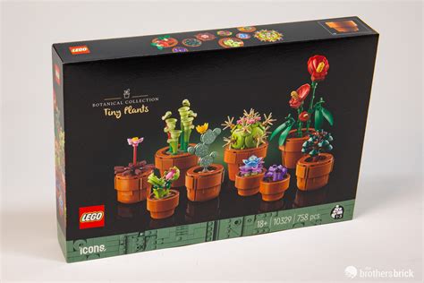 Lego Icons Botanical Collection Tiny Plants Tbb Review