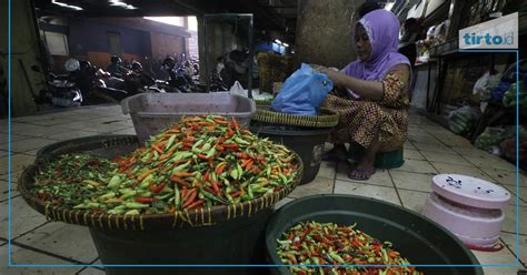 Tni Ad Ajak Masyarakat Tanam Cabai Di Lahan Kosong