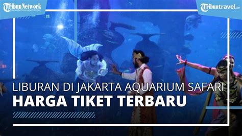 Serunya Liburan Di Jakarta Aquarium Safari Terbaru 2022 Bisa Berenang