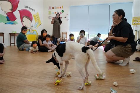 817國際流浪動物日 高市動保處動改造物關愛園區 推體驗課程