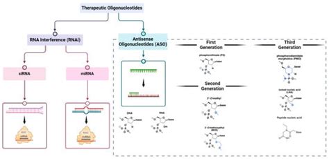 Clinical Applications Of Antisense Oligonucleotides In Cancer A Focus