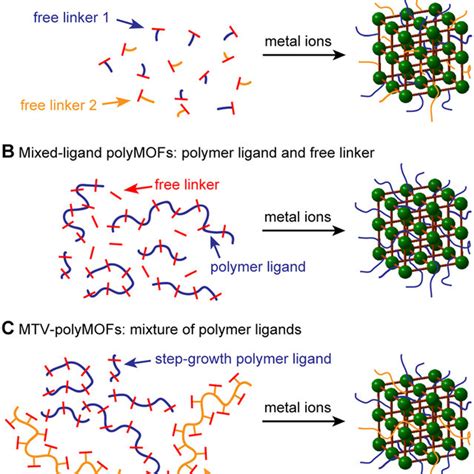 Dft Calculations Of The Binding Energy Between Zn²⁺ And Coordinate