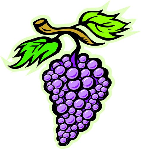 Cartoon Grapes Clipart Free Grape Vine Images And Illustrations