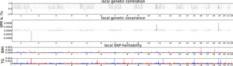 Local Genetic Correlation Gives Insights Into The Shared Genetic