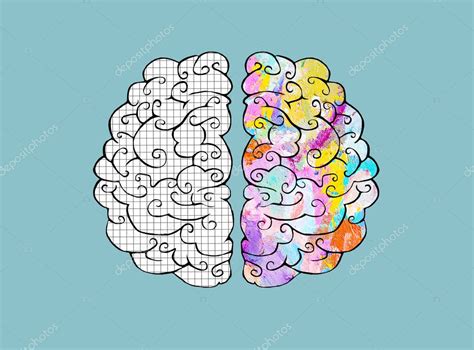 Hemisferio derecho e izquierdo del cerebro humano Ilustración