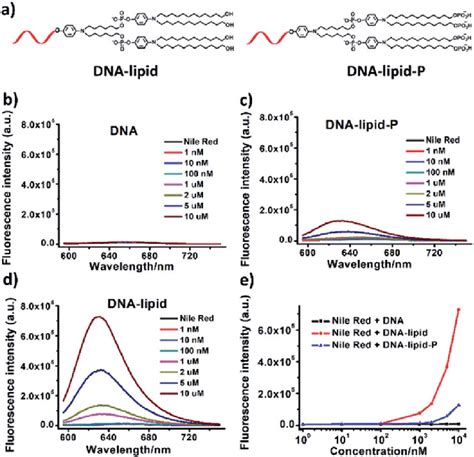 Characterizations Of Self Assembly Of Dna Lipid P And Dnalipid A The Download Scientific