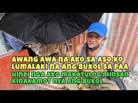 PART 4 GRABE LUMALAKI NA ANG BUKOL SA PAA NG ASO NI TATAY YouTube