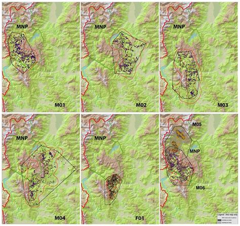 kernel  red    brown   mcp  black