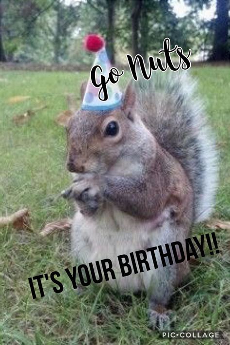 Squirrel Happy Birthday Meme | BirthdayBuzz