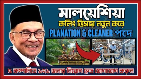 plantation cleaner পদ মলযশয নযগ malaysia calling visa