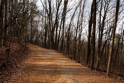 Pandaberry Trail: Hiking Kennesaw Mountain