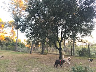 Mejores Residencias Caninas En Rub Zonacachorros