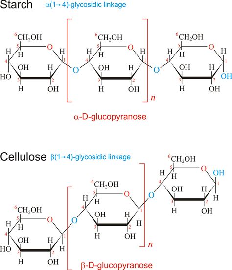 Cellulose Is Made Up Of A B Glucose And B GalactoseB Glucose And