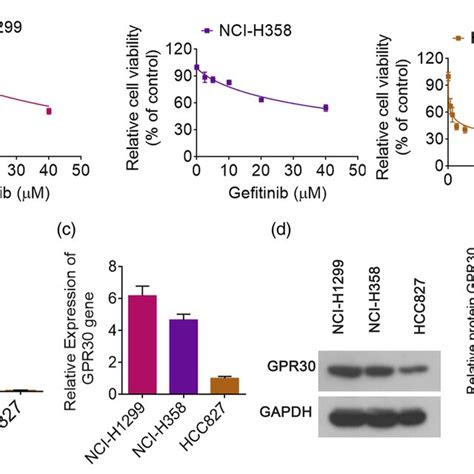 GPR30 Expression Was Associated With Gefitinib Sensitivity In NSCLC