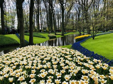 Keukenhof Gardens Today | Fasci Garden